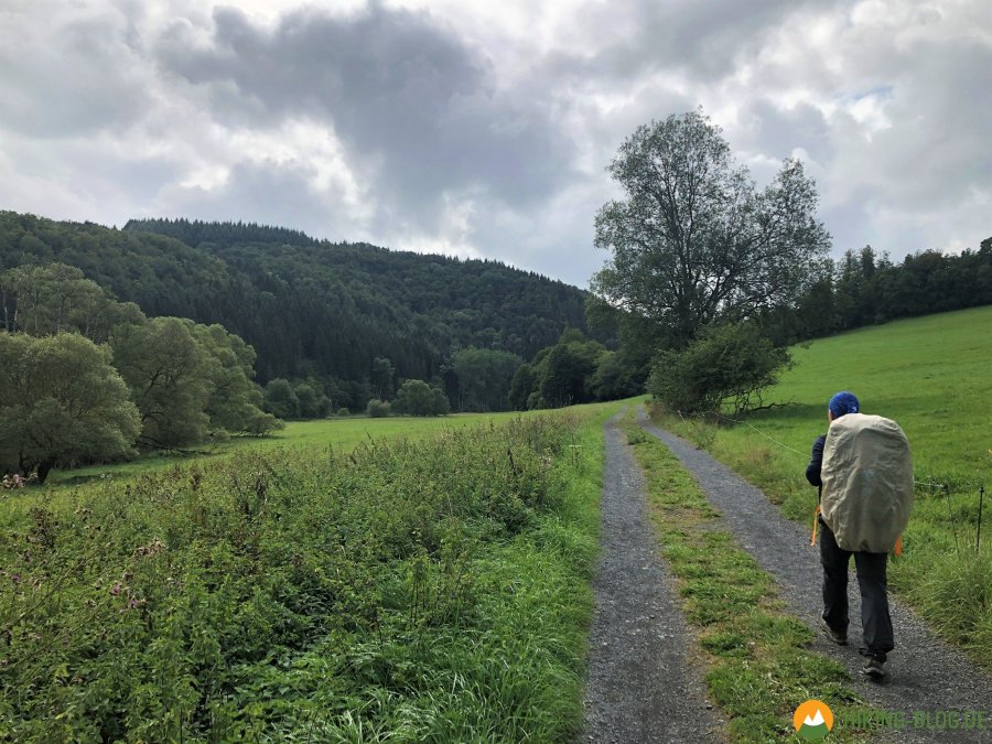 Lieserpfad-Etappe2-10