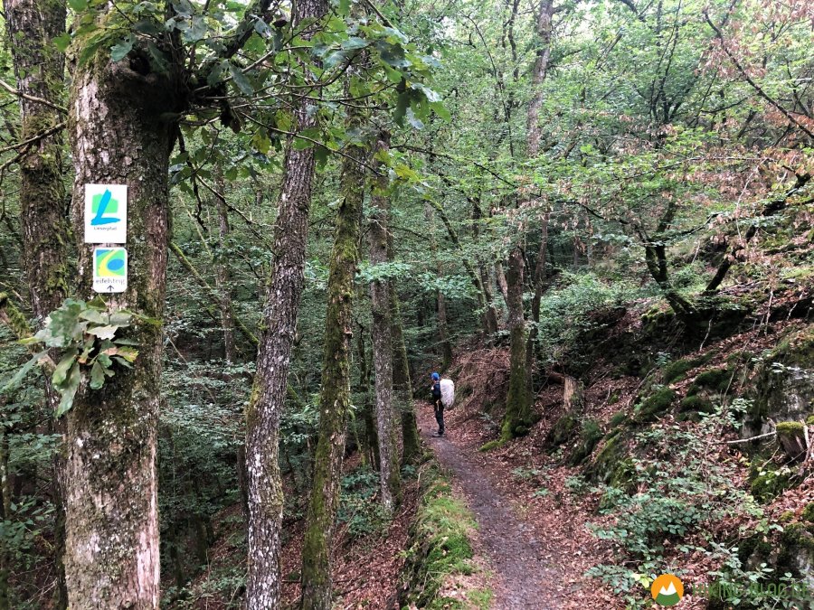 Lieserpfad-Etappe2-18