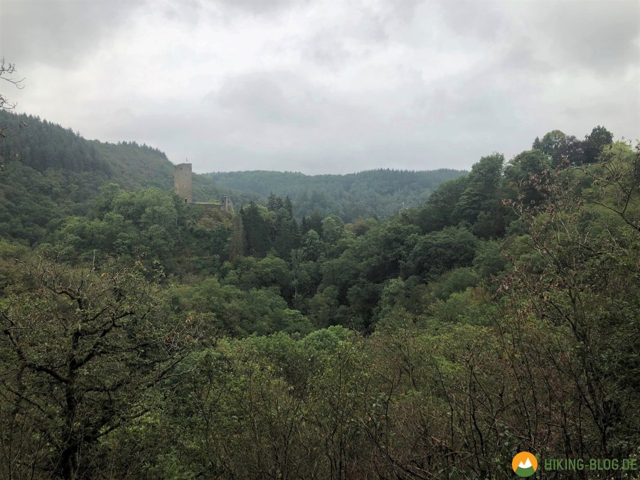 Lieserpfad-Etappe2-20