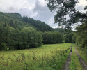 Lieserpfad-Etappe2-11