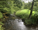 Lieserpfad-Etappe2-12