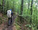 Lieserpfad-Etappe2-14