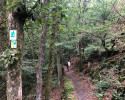 Lieserpfad-Etappe2-18