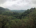 Lieserpfad-Etappe2-20