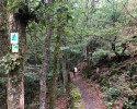 Lieserpfad-Etappe2-18
