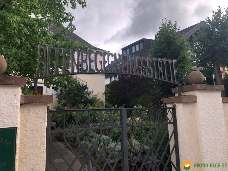 Lieserpfad-Etappe3-20