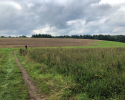 Lieserpfad-Etappe3-09