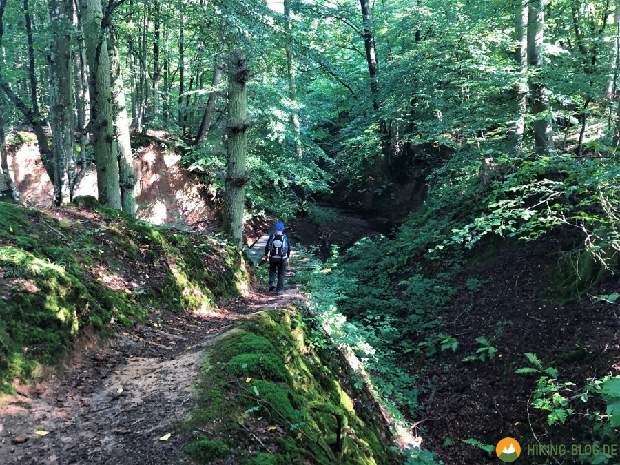 Lieserpfad-Etappe4-08