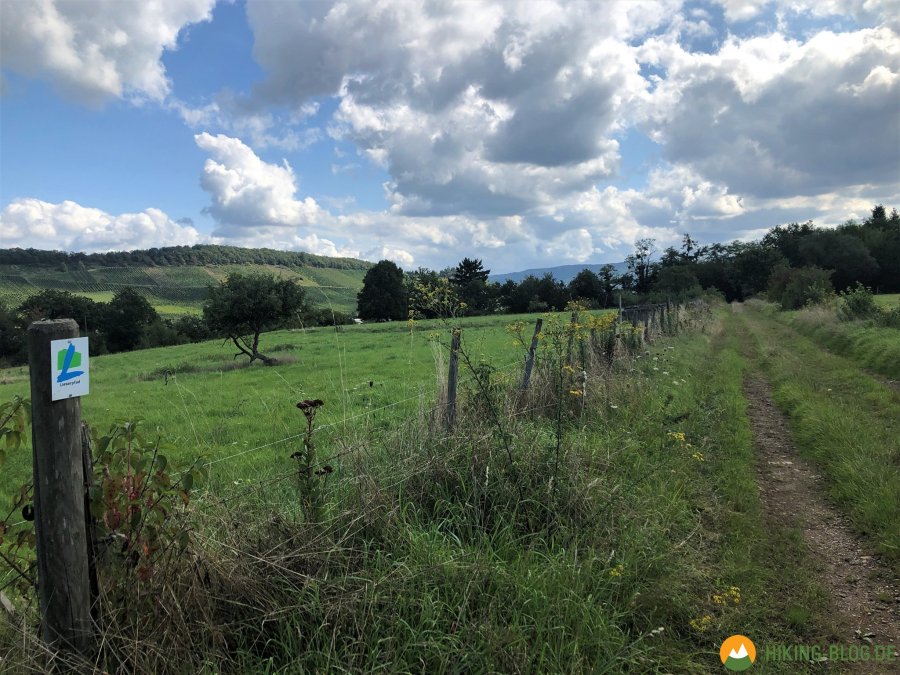 Lieserpfad-Etappe4-15