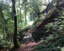 Lieserpfad-Etappe4-11