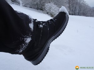 Lowa-Sedrun-GTX-Mid-Winterschuh-31