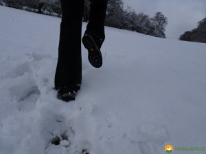 Lowa-Sedrun-GTX-Mid-Winterschuh-32