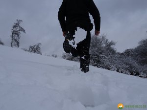 Lowa-Sedrun-GTX-Mid-Winterschuh-33