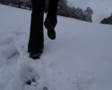 Lowa-Sedrun-GTX-Mid-Winterschuh-32