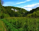 burgwartstein-lautertal