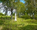 kreuzwegburgderneck-lautertal