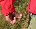 marmot_nabu_jacket12
