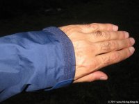 img_2922