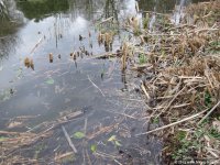 msr_hyperflow_microfilter06