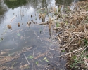 msr_hyperflow_microfilter06