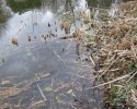 msr_hyperflow_microfilter06