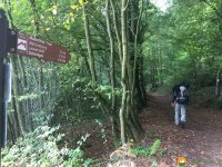Mullerthal-Trail-Echternach-Consdorf-03