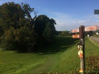Mullerthal-Trail-Echternach-Consdorf-12