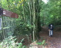 Mullerthal-Trail-Echternach-Consdorf-03