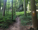 Mullerthal-Trail-Echternach-Consdorf-05