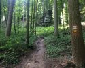 Mullerthal-Trail-Echternach-Consdorf-05
