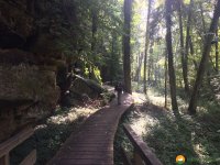 Mullerthal-Trail-Consdorf-Larochette-08