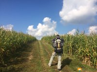 Mullerthal-Trail-Consdorf-Larochette-11
