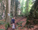 Mullerthal-Trail-Consdorf-Larochette-01