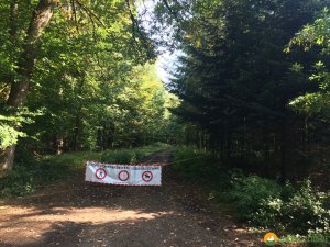 Mullerthal-Trail-Larochette-Müllerthal-07