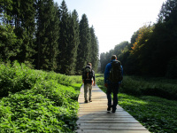 Mullerthal-Trail-Larochette-Müllerthal-09a