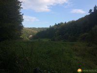 Mullerthal-Trail-Larochette-Müllerthal-15