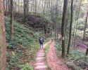 Mullerthal-Trail-Larochette-Müllerthal-03