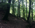 Mullerthal-Trail-Larochette-Müllerthal-08