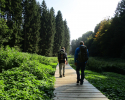 Mullerthal-Trail-Larochette-Müllerthal-09a