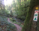Mullerthal-Trail-Larochette-Müllerthal-14