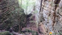 Mullerthal-Trail-Muellerthal-Echternach-18