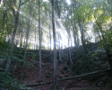 Mullerthal-Trail-Muellerthal-Echternach-05
