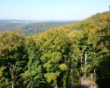 Mullerthal-Trail-Muellerthal-Echternach-07