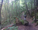 Mullerthal-Trail-Muellerthal-Echternach-09