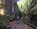 Mullerthal-Trail-Muellerthal-Echternach-12