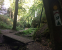 Mullerthal-Trail-Muellerthal-Echternach-15