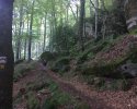 Mullerthal-Trail-Muellerthal-Echternach-03