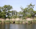 biberburg_gross