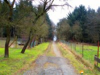 Naturschutzgebiet_Holthauser_Bach_02