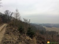 Naturschutzgebiet_Holthauser_Bach_03